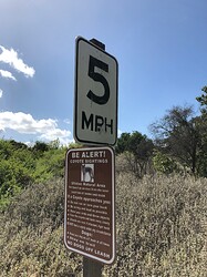 Ulistac driveway speed limit