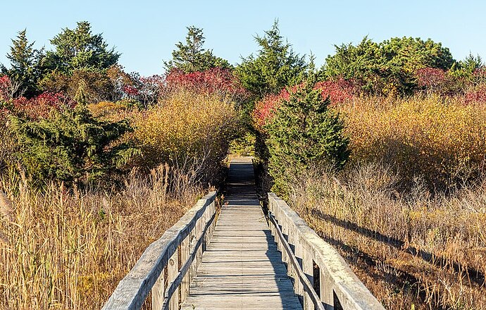 Quogue_Village_Wetlands_Preserve_boardwalk_(92722p)