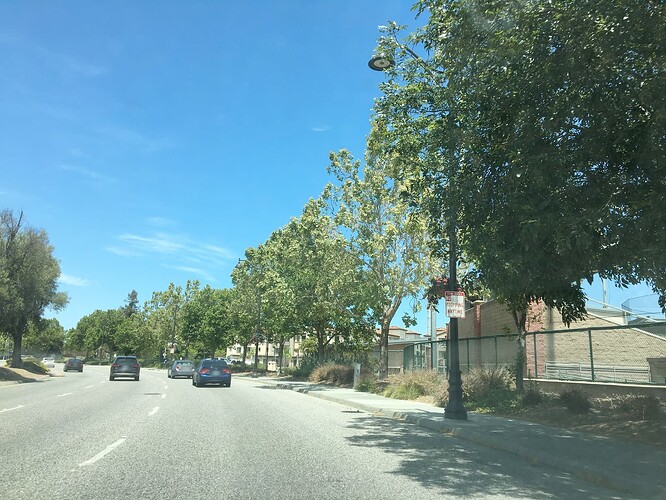 A double-wide lane and a sign saying No Stopping Any Time. (© 2018 Nikki Diaz, CC BY-SA 4.0.)