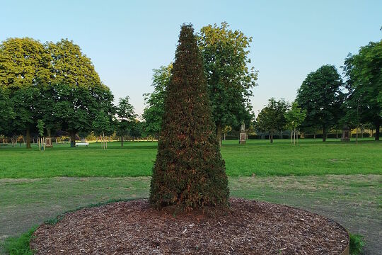 baum2