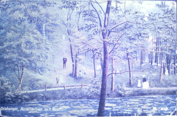 Dbg_Acaciavijver.DriebergseBos190x
