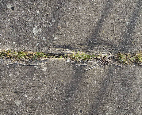 Betonweg2