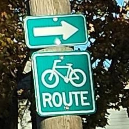 photo of green sign with a white bicycle icon and white lettering underneath that says Route